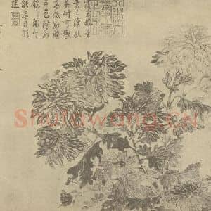 清代 恽寿平国画作品《菊》摘自 南画大成 卷二
