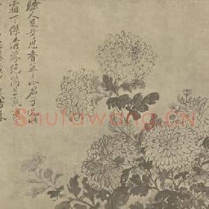 清代 恽寿平国画作品《菊》摘自 南画大成 卷二