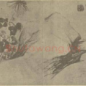清代 边寿民国画作品《菊石》摘自 南画大成 卷二