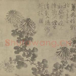 清代 边寿民国画作品《菊》摘自 南画大成 卷二