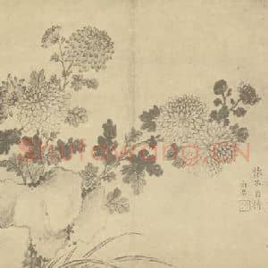 清代 蒋廷锡国画作品《菊石》摘自 南画大成 卷二