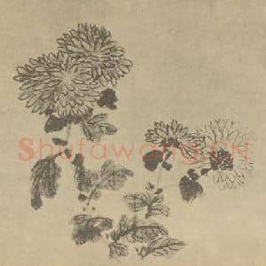 清代 蒋廷锡国画作品《菊》摘自 南画大成 卷二