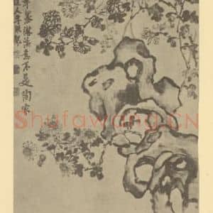 清代 李鳝国画作品《菊石》摘自 南画大成 卷二