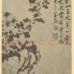 清代 郑燮国画作品《菊石》摘自 南画大成 卷二