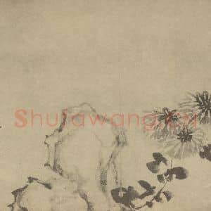 清代 陈撰国画作品《菊石》摘自 南画大成 卷二