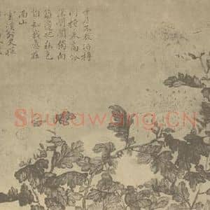 清代 钱燕贻国画作品《菊》摘自 南画大成 卷二