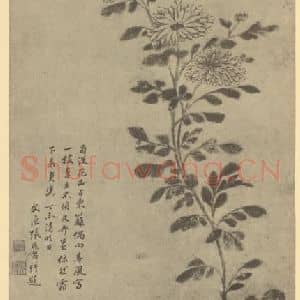 清代 张燕昌国画作品《菊》摘自 南画大成 卷二