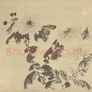 清代 王学浩国画作品《菊》摘自 南画大成 卷二