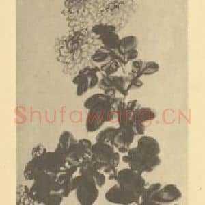 清代 吴熙载国画作品《菊》摘自 南画大成 卷二