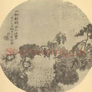 清代 赵之谦国画作品《菊》摘自 南画大成 卷二