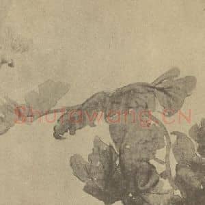 清代 赵之谦国画作品《菊》摘自 南画大成 卷二