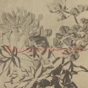 清代 赵之谦国画作品《菊》摘自 南画大成 卷二