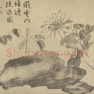 清代 赵之谦国画作品《菊石》摘自 南画大成 卷二