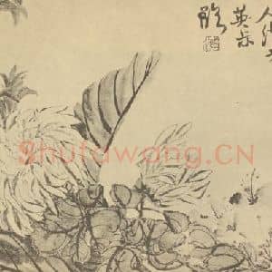 清代 赵之谦国画作品《菊》摘自 南画大成 卷二