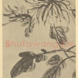 清代 吴大澂国画作品《菊》摘自 南画大成 卷二