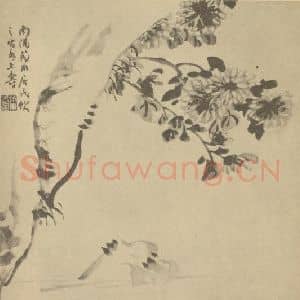 清代 陈豪国画作品《菊石》摘自 南画大成 卷二
