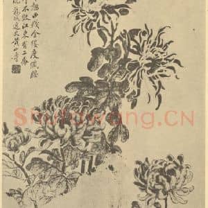 清代 黄山寿国画作品《菊石》摘自 南画大成 卷二