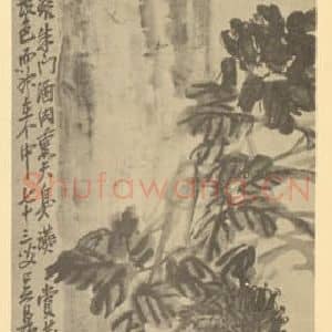 清代 吴昌硕国画作品《菊石》摘自 南画大成 卷二