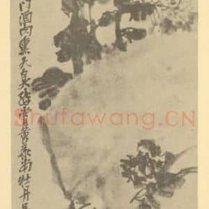 清代 吴昌硕国画作品《菊石》摘自 南画大成 卷二