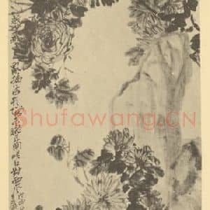 清代 吴昌硕国画作品《菊石》摘自 南画大成 卷二