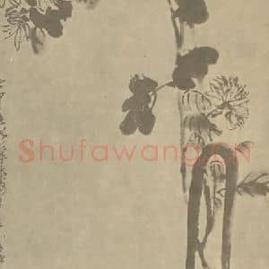 清代 吴昌硕国画作品《菊(镫)》摘自 南画大成 卷二