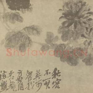 清代 吴昌硕国画作品《菊》摘自 南画大成 卷二