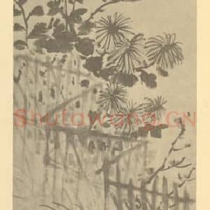 清代 吴淑娟国画作品《篱菊》摘自 南画大成 卷二