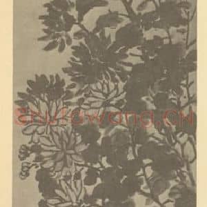 清代 吴淑娟国画作品《菊》摘自 南画大成 卷二
