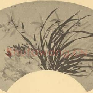 清代 瞿应绍国画作品《兰石》摘自 南画大成 卷二