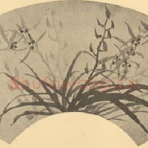 清代 瞿应绍国画作品《兰》摘自 南画大成 卷二