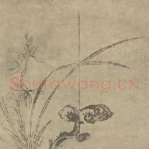 清代 陈书国画作品《兰芝》摘自 南画大成 卷二
