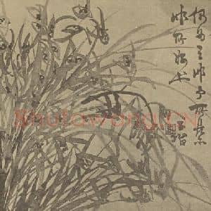 清代 瞿应绍国画作品《兰》摘自 南画大成 卷二