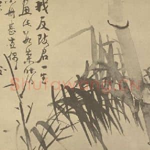 清代 瞿应绍国画作品《竹》摘自 南画大成 卷二