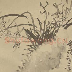 清代 瞿应绍国画作品《兰石》摘自 南画大成 卷二