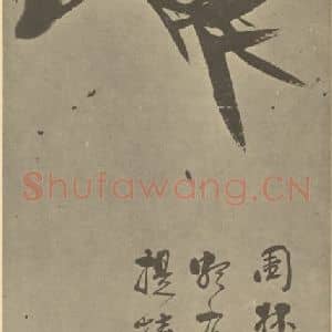 清代 瞿应绍国画作品《竹》摘自 南画大成 卷二