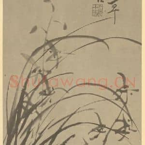 清代 瞿应绍国画作品《兰》摘自 南画大成 卷二