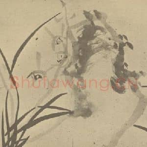 清代 张焕棠国画作品《兰石》摘自 南画大成 卷二