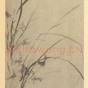 清代 朱钧国画作品《兰》摘自 南画大成 卷二