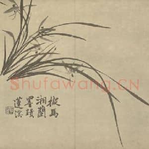 清代 释真然国画作品《兰》摘自 南画大成 卷二