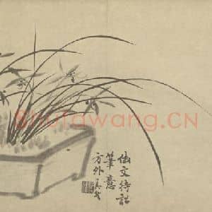 清代 释真然国画作品《兰》摘自 南画大成 卷二