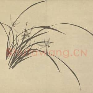 清代 释真然国画作品《兰》摘自 南画大成 卷二
