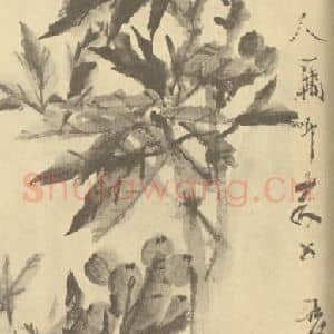 清代 虚古国画作品《枇杷》摘自 南画大成 续集四·补遗