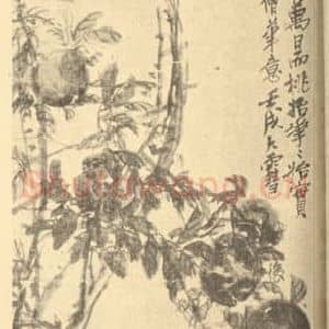 清代 吴昌硕国画作品《桃实图》摘自 南画大成 续集四·补遗
