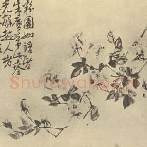 清代 李鳝国画作品《月季》摘自 南画大成 续集四·补遗