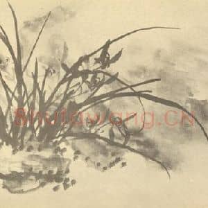 清代 李鳝国画作品《画兰》摘自 南画大成 续集四·补遗