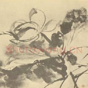 清代 李鳝国画作品《荷花图》摘自 南画大成 续集四·补遗
