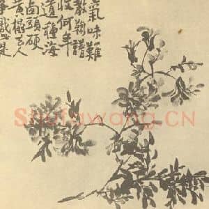清代 李鳝国画作品《黄华》摘自 南画大成 续集四·补遗