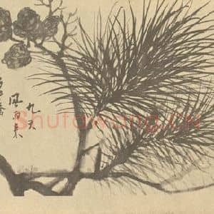 清代 胡璋国画作品《松子》摘自 南画大成 续集四·补遗