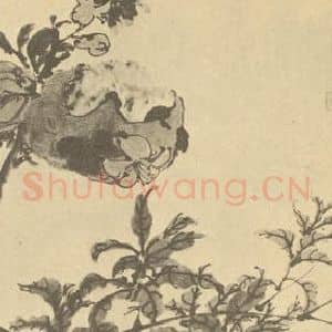 清代 胡璋国画作品《石榴》摘自 南画大成 续集四·补遗
