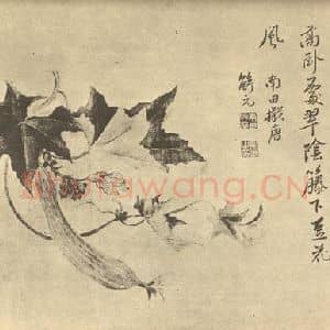清代 恽寿平国画作品《仿唐寅花瓜图》摘自 南画大成 续集四·补遗